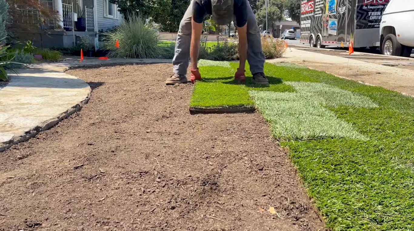 Professional sod installation and lawn renovation in Inglewood, CA